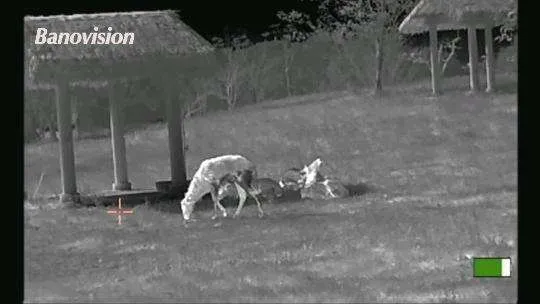 Monóculo de imagem térmica para caça ao ar livre de visão noturna portátil Iwa da Alemanha da China
